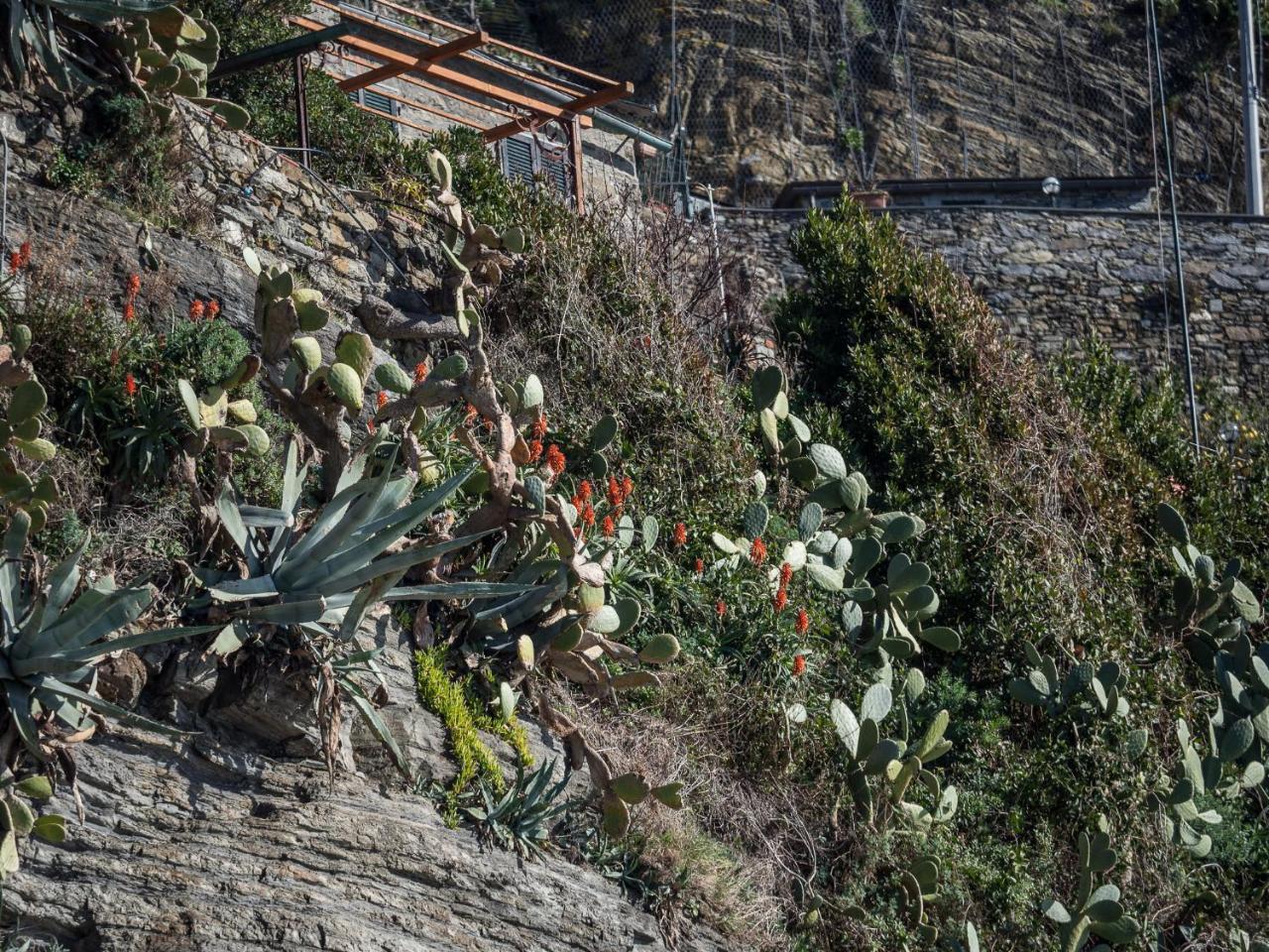 Unda De Ma Sea View Terrace Apartment Vernazza Exterior photo